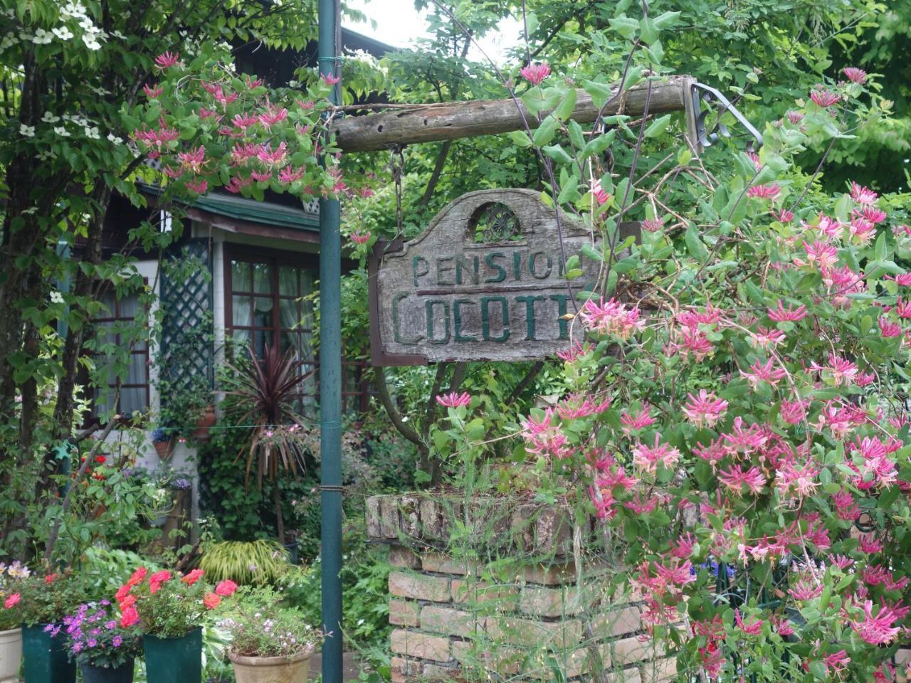 Pension Cocotte Takayama  Ngoại thất bức ảnh
